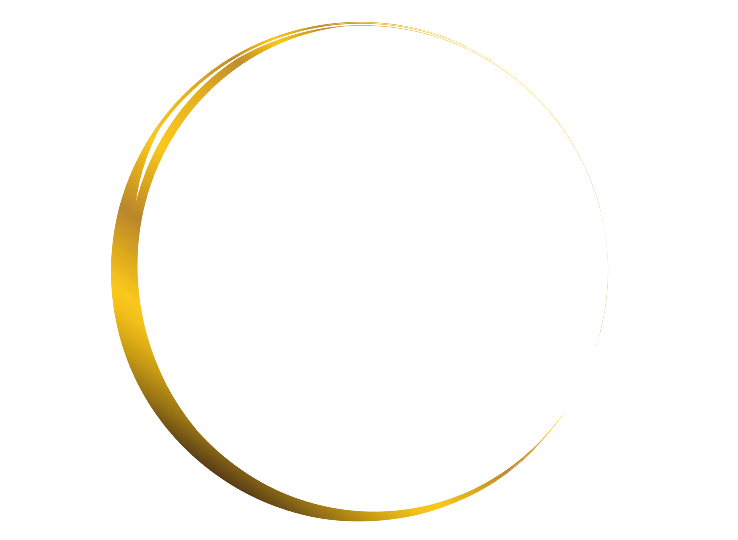 logo kenrays chauffeur privé lyon